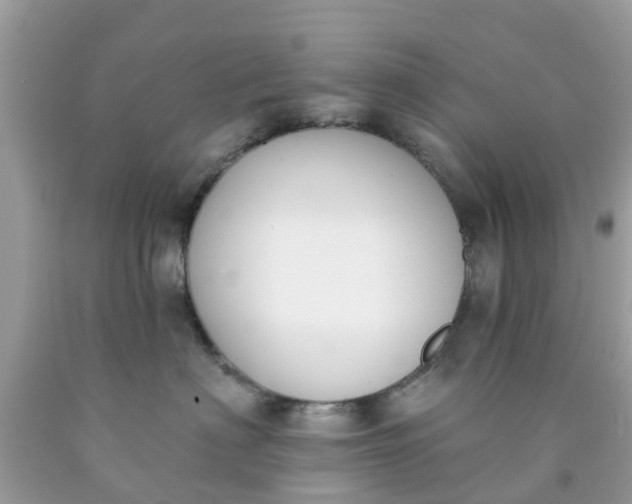 X0000090420622200707272112