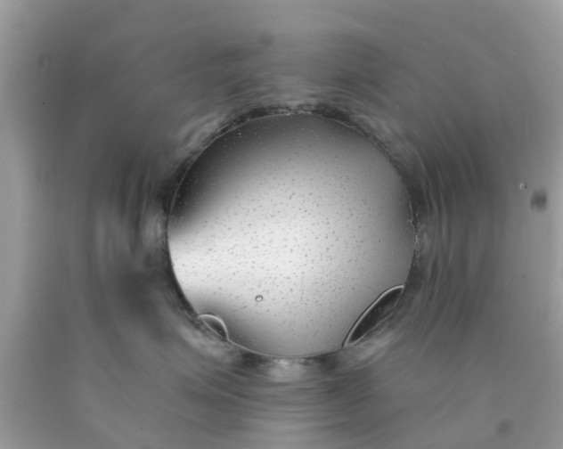 X0000090420623200707272112