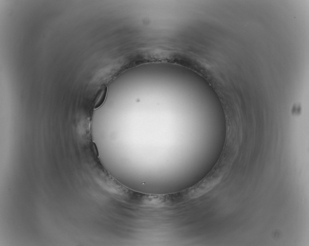 X0000090420624200707272112