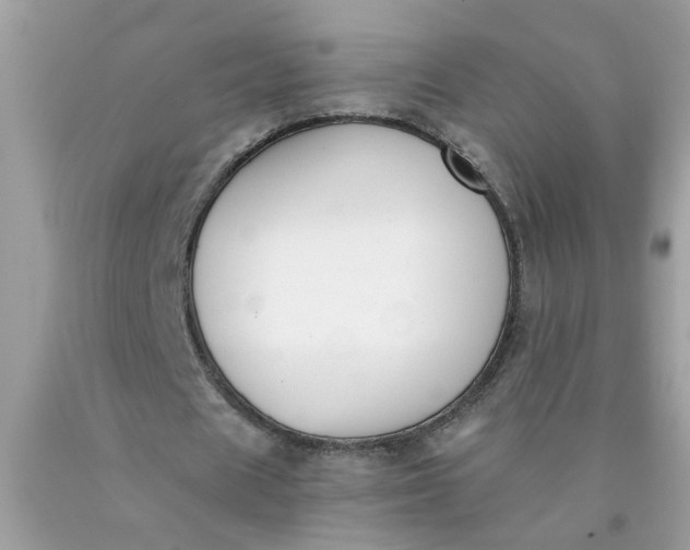 X0000090420625200707272111