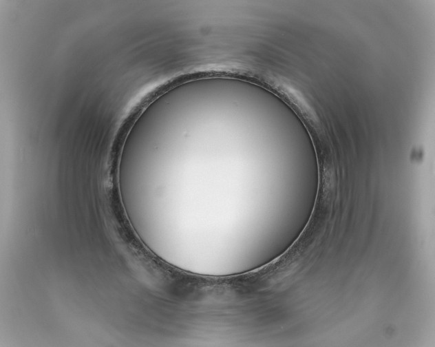 X0000090420628200707272111