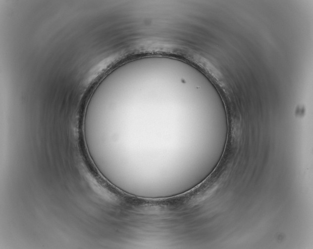 X0000090420629200707272111