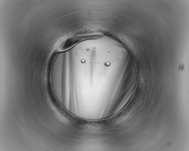 X0000090420630200707272111