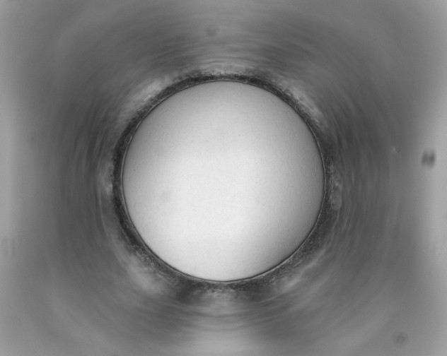 X0000090420631200707272111