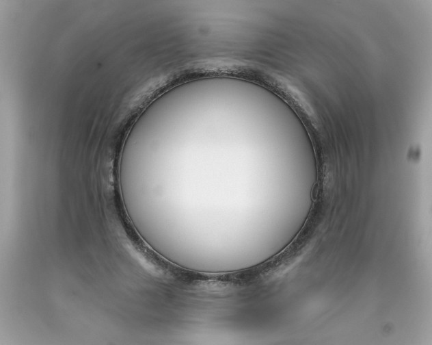 X0000090420633200707272111