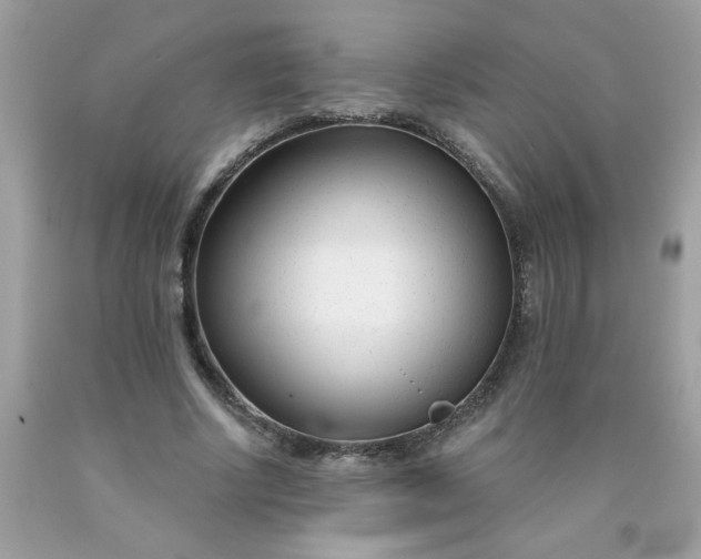 X0000090420634200707272111