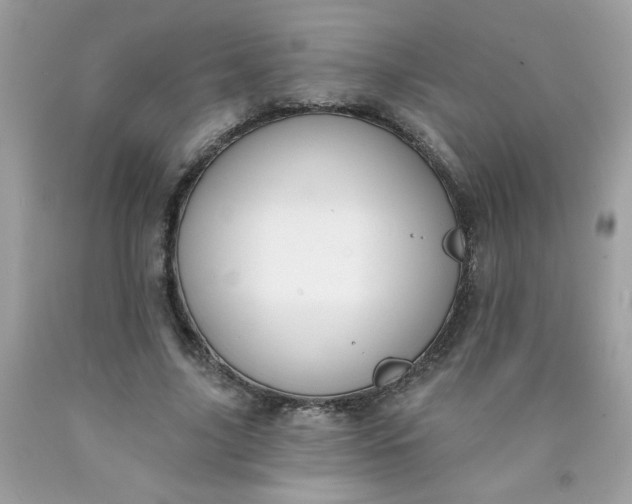 X0000090420635200707272111