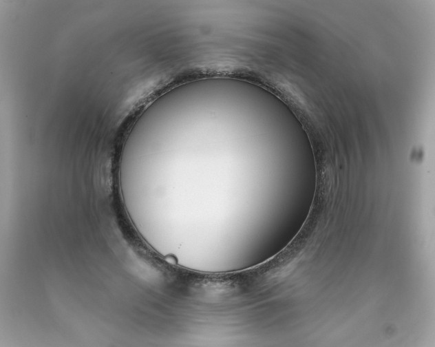 X0000090420638200707272111