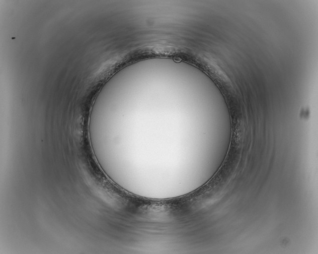 X0000090420639200707272111