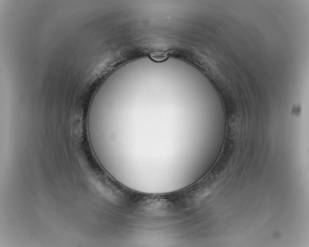 X0000090420642200707272111