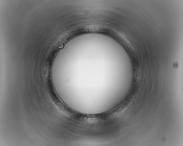 X0000090420645200707272111