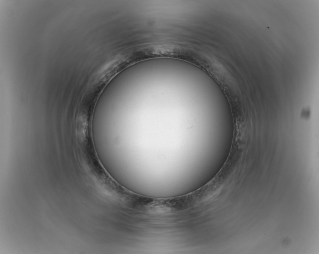 X0000090420648200707272111