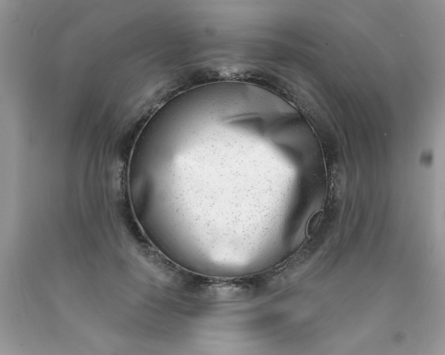 X0000090420650200707272111