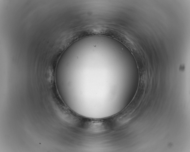 X0000090420651200707272111