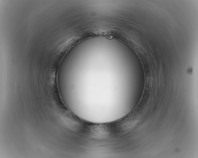 X0000090420652200707272111