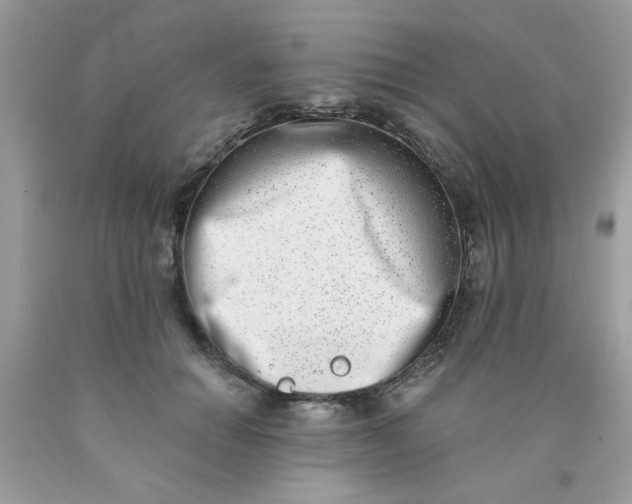 X0000090420654200707272111