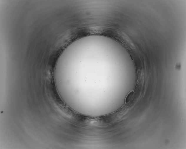 X0000090420655200707272111