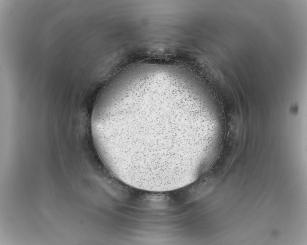 X0000090420659200707272111