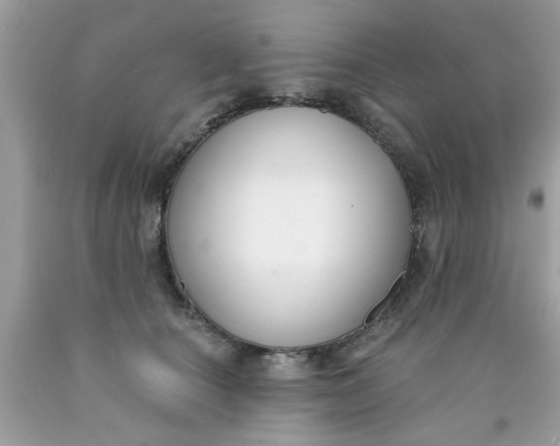 X0000090420660200707272111