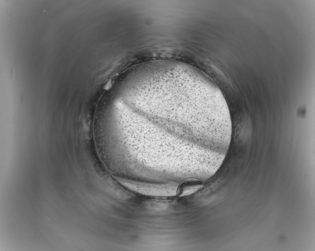 X0000090420661200707272112