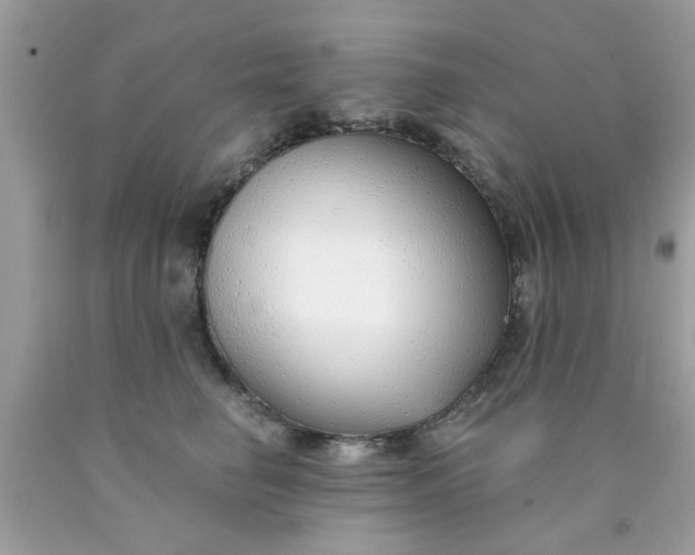 X0000090420662200707272112