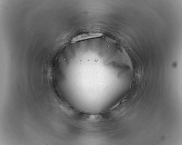 X0000090420663200707272112