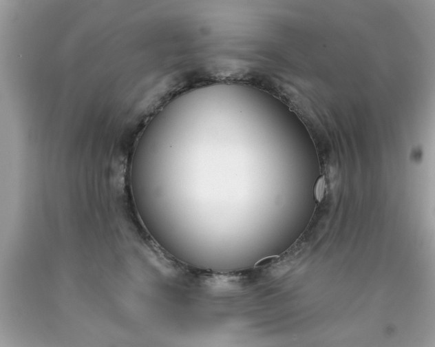 X0000090420664200707272112