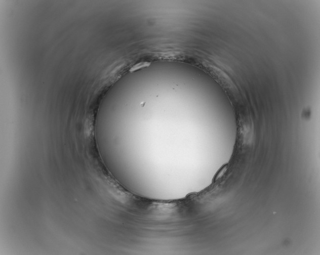 X0000090420665200707272112