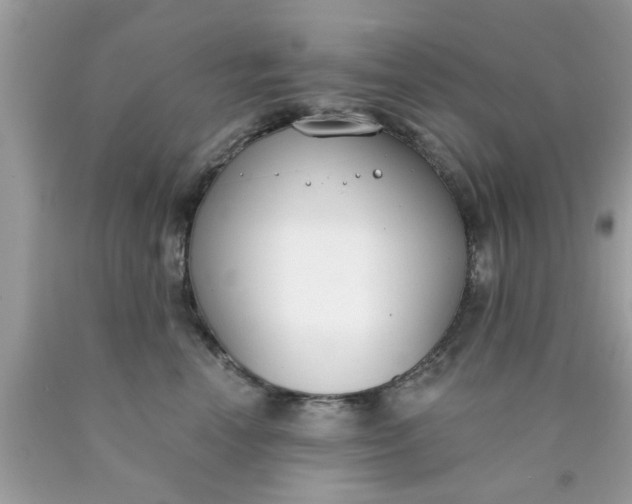 X0000090420666200707272112