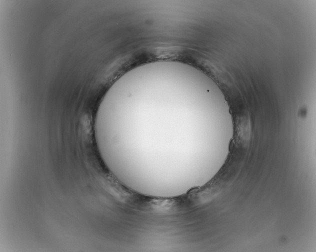 X0000090420667200707272112