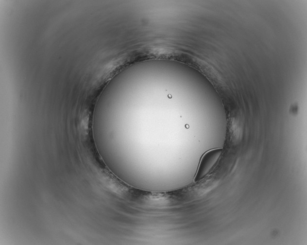 X0000090420668200707272112