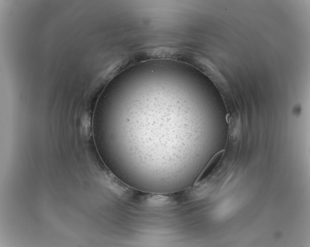 X0000090420669200707272112