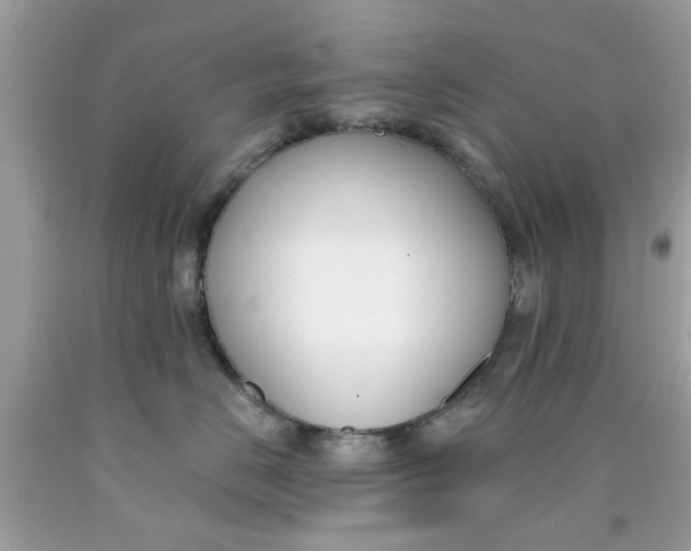 X0000090420670200707272112