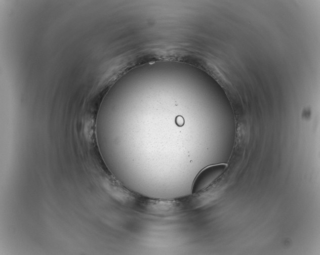 X0000090420671200707272112