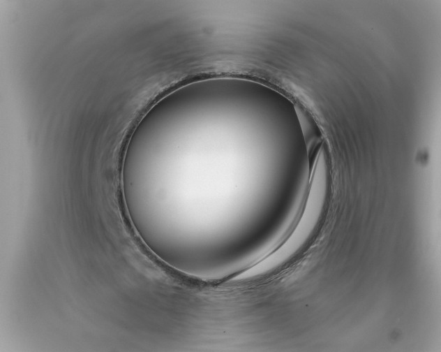 X0000090420673200707272111