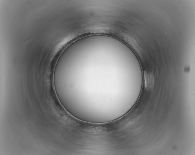 X0000090420675200707272111