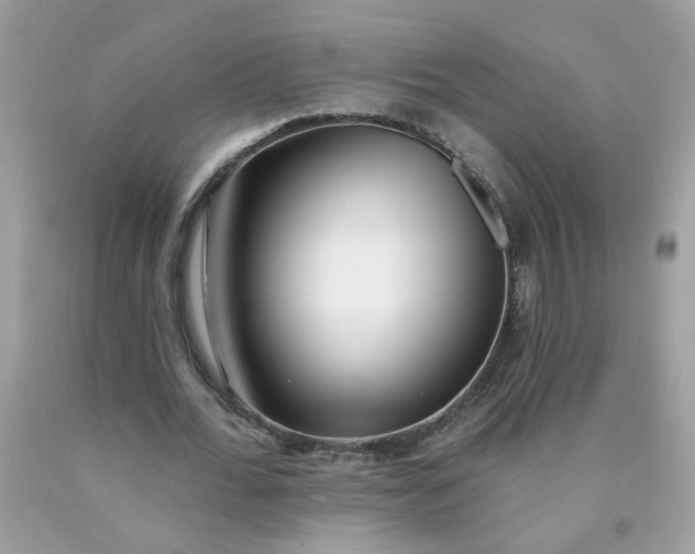 X0000090420676200707272111