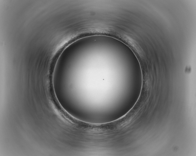 X0000090420677200707272111