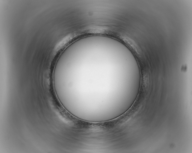 X0000090420682200707272111