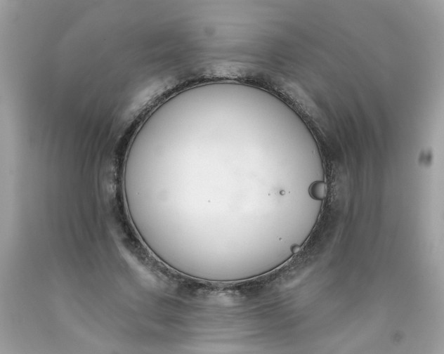 X0000090420683200707272111