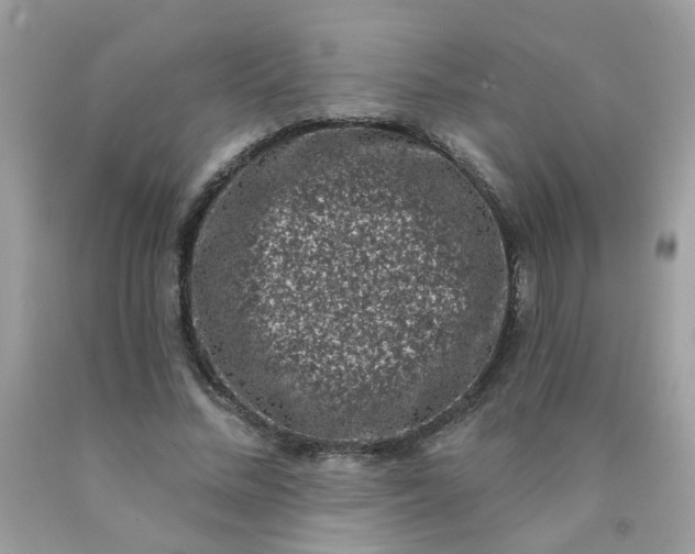 X0000090420684200707272111