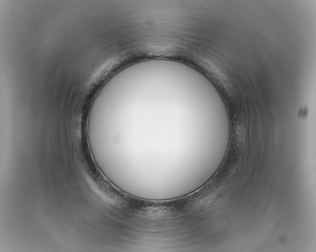 X0000090420686200707272111