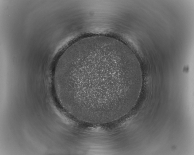 X0000090420688200707272111