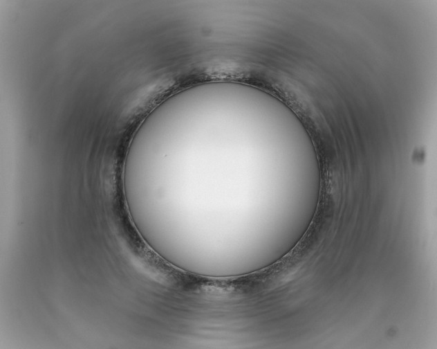 X0000090420690200707272111