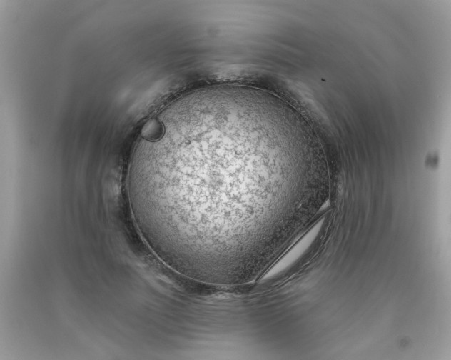 X0000090420691200707272111