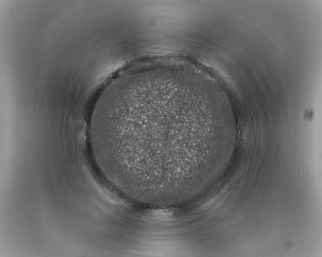 X0000090420692200707272111