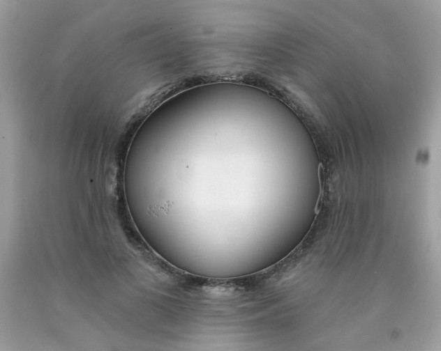 X0000090420693200707272111