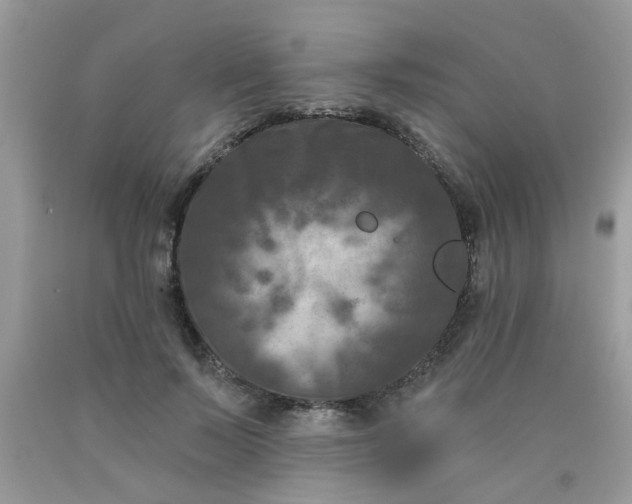 X0000090420695200707272111