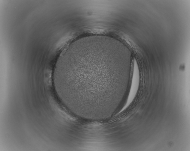 X0000090420696200707272111