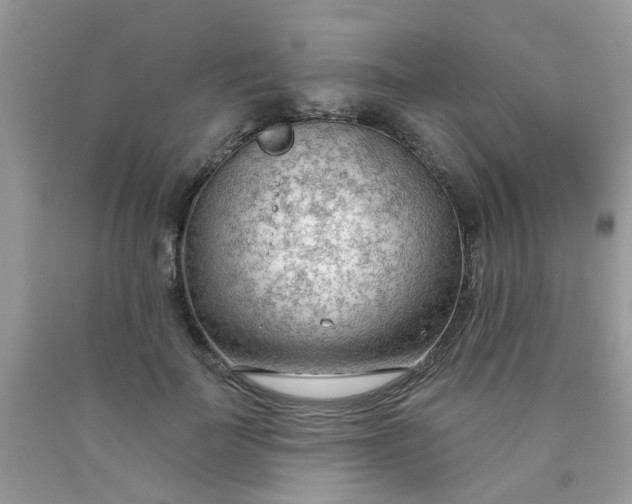 X0000090420699200707272111